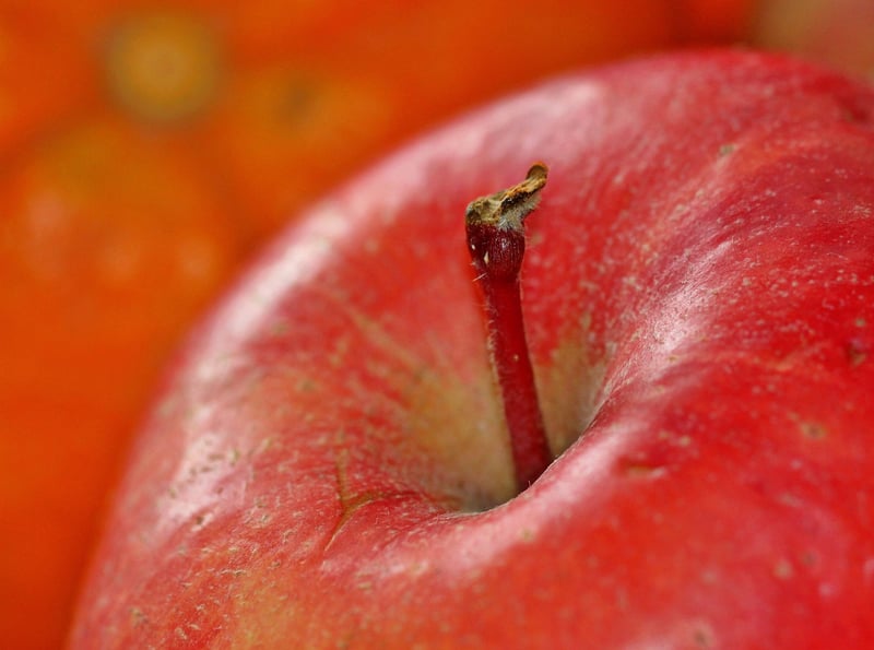Apple Picking